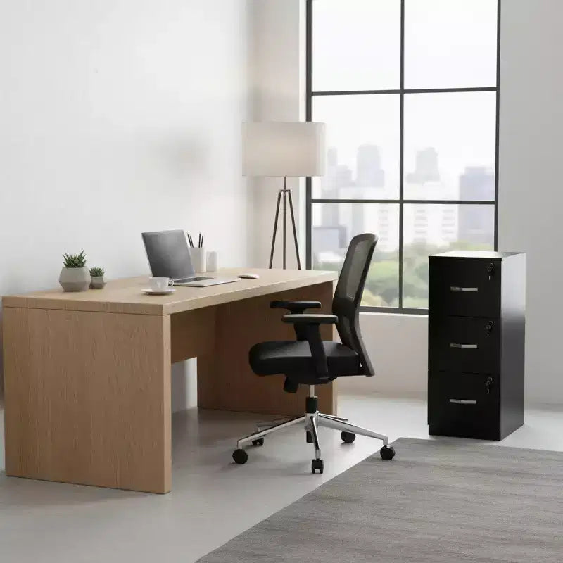 3 Drawer File Cabinet with Lock, Vertical Office Filing Cabinet for Letter/Legal Size, Storage Organizer, Black